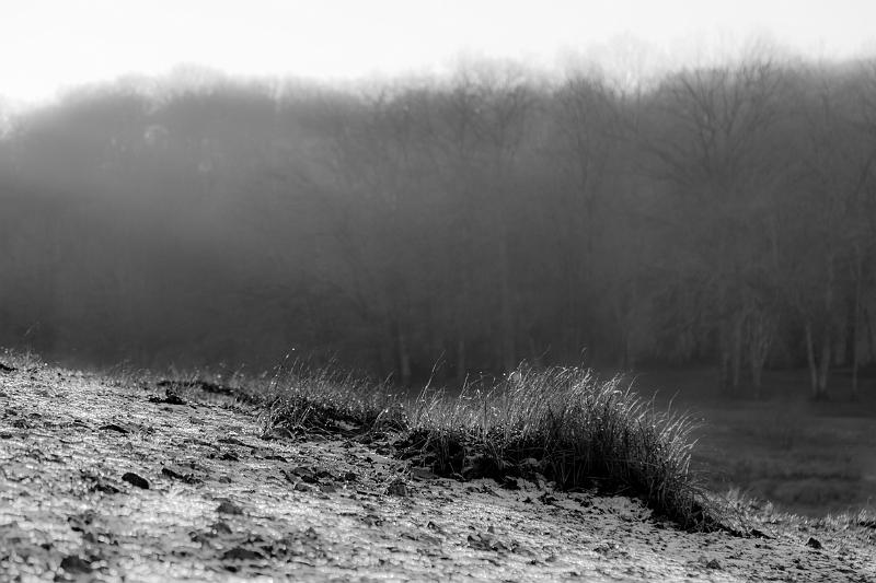 2019_12_30_Lac des Panneciere (0021).jpg - Lac de Panneciere (30 Decembre 2019)